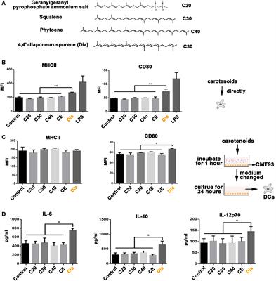 4,4′-Diaponeurosporene-Producing Bacillus subtilis Increased Mouse Resistance against Salmonella typhimurium Infection in a CD36-Dependent Manner